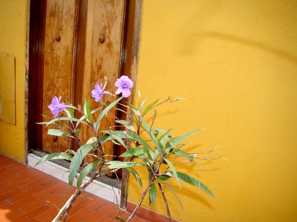 Hotel Casa Vieja Santa Marta Dış mekan fotoğraf